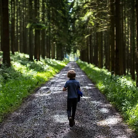 ホテル Au Romain Heyd