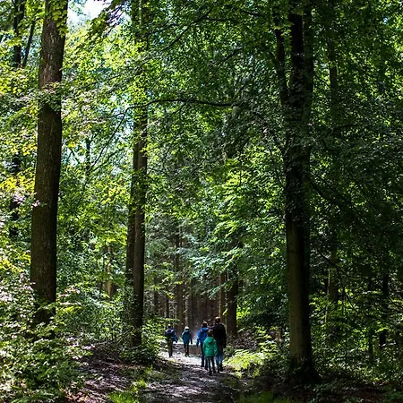 ホテル Au Romain Heyd