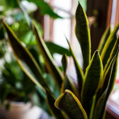 ホテル Au Romain Heyd