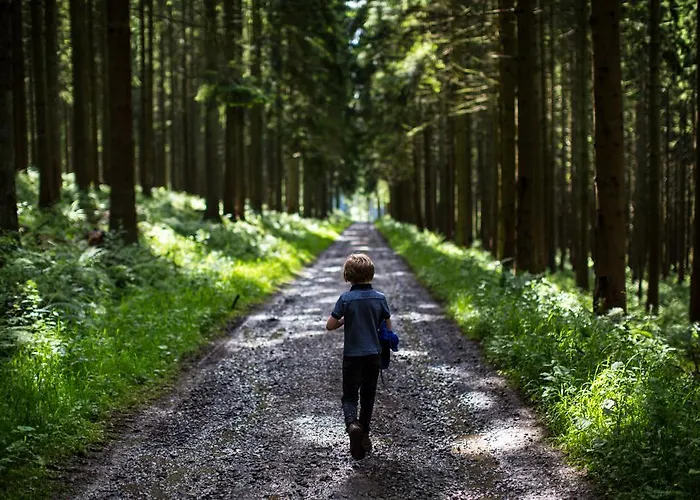 Hotel Au Romain Heyd
